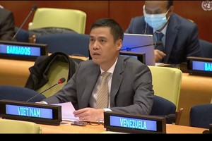 越南駐聯合國代表團團長鄧黃江大使（圖：越通社）