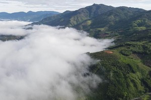 到慶山“獵雲”宛如走進仙境。