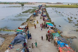 巴基斯坦信德省一個被洪水淹沒的住宅區。（圖：聯合國）