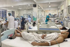 今年本市登革熱病死亡例居高不下。從年初至今登革熱病死亡例總數為25例，同比增20例。（示意圖：互聯網）