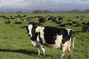 （示意圖：互聯網）