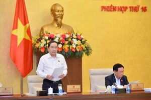 國會常務副主席陳清敏在會上闡述報告。（圖：Quochoi.vn）