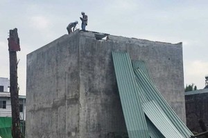 對在守德市協平政坊一間違章建築工程採取強制拆除措施。