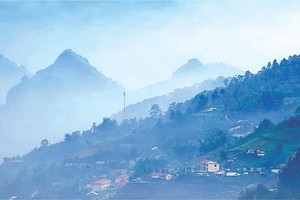 陳光明攝影作品欣賞