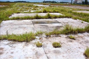 突擊監察若干土地使用單位