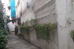 綠色巷道宜推廣