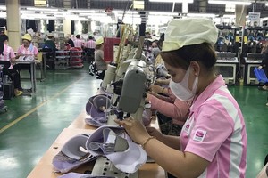 平陽省一縫紉企業生產線。