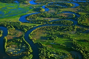 世界湿地日 加大资金投入与积极恢复湿地