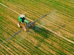 意大利通过移民管理法令