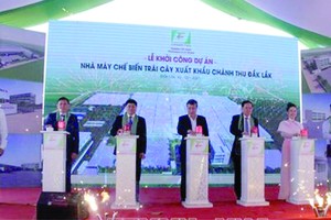 达乐省最大规模水果出口加工厂动工