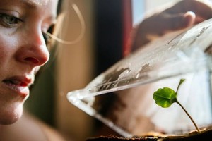 植物也会“说话”