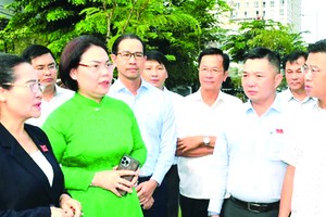 市人民议会监察团监察第六郡杭庞涌场地清拆赔偿情况。