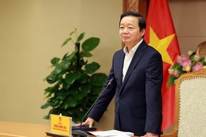 政府副总理陈红河。