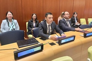 越南常驻联合国代表团团长邓黄江大使在谈论上发表讲话。图自越通社