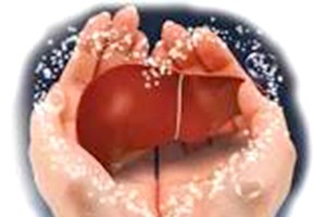 伤肝行为要避免