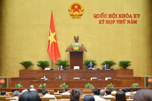 通过 2024 年法律法令制定计划决议