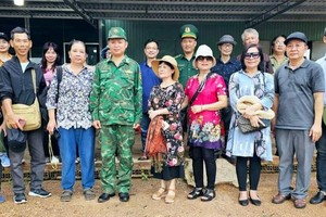 华人文艺工作者参加创作营活动