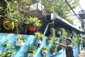 阮英明花大量时间来照护围墙上的绿树，以为邻居创造美丽的绿化空间。