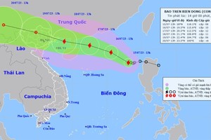 东海出现1号台风