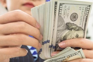 本市上半年侨汇收入达44亿美元