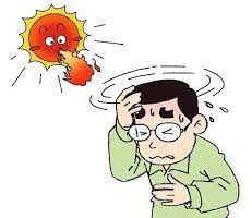 高温天需格外注意 警惕伤“脑”又伤“心”