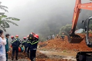 保禄山体滑坡救援集体个人获奖励