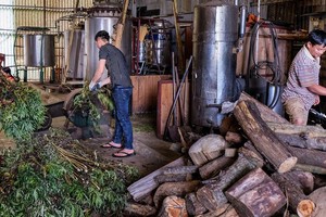 通过科学释放传统医学力量