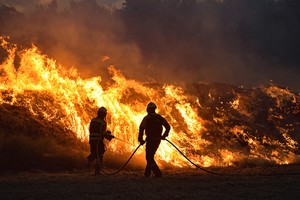 全球生物多样性框架基金启动