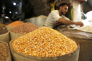 图为在也门萨那拍摄的出售粮食的摊位。（图片来源：新华社资料图）