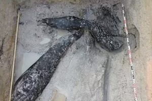 约 47.6 万年前建筑木材出土