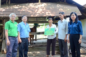 向古芝地县贫穷户赠送种牛。