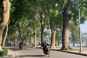 南部周末天气预报