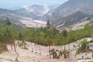 河江省多地降冰雹