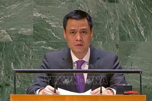 越南常驻联合国代表团团长邓黄江大使在会上致辞（图源：越通社）