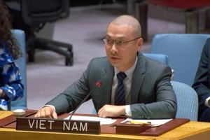 越南常驻联合国代表团临时代办阮黄原公使在辩论会上发表讲话。(越通社)