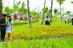 在日益酷热的天气下，本市需要开辟更多绿树公园。