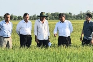 2024年06月01日简讯