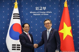 越南外长裴青山(左)与韩国外长官赵兑烈合影。