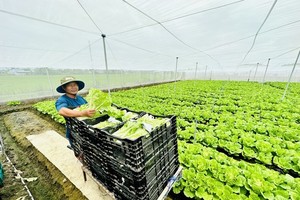 本市农业生产每公顷最高达7.5亿元