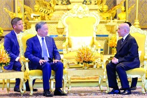 越南国家主席苏林会见柬埔寨国王诺罗敦‧西哈莫尼。