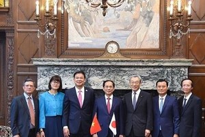 越南外交部长裴青山(中)与日本国际协力机构副理事长宫崎桂时合影。