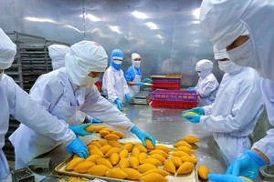 大发饼家生产月饼。