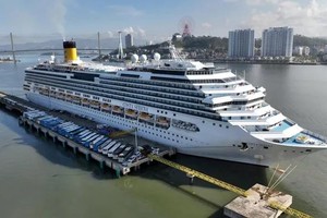 3040 香港游客乘五星级邮轮抵下龙湾