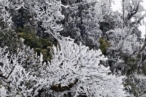 安沛省山区出现冰雪。
