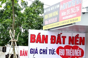 Thời gian qua, đất nền Phú Quốc được rao bán tràn lan. Ảnh: NGUYỄN SINH