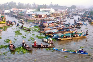 UK university launches £3.5 mil sustainable aquaculture project in Mekong Delta