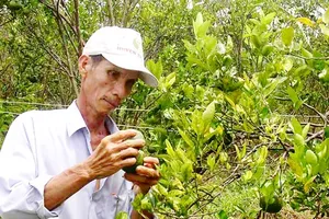 Điểm tin SGGP Online ngày 09.07.2018