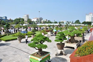 Lễ hội Bonsai và Suiseki châu Á – Thái Bình Dương lần đầu tiên được tổ chức tại Việt Nam