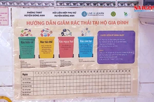 Phạt cao nhất tới 1 triệu đồng nếu không phân loại rác sinh hoạt