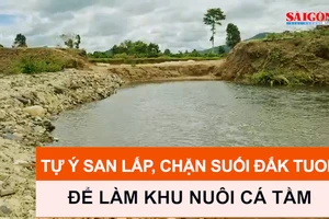 Tự ý san lấp, chặn suối Đắk Tuor để làm khu nuôi cá tầm